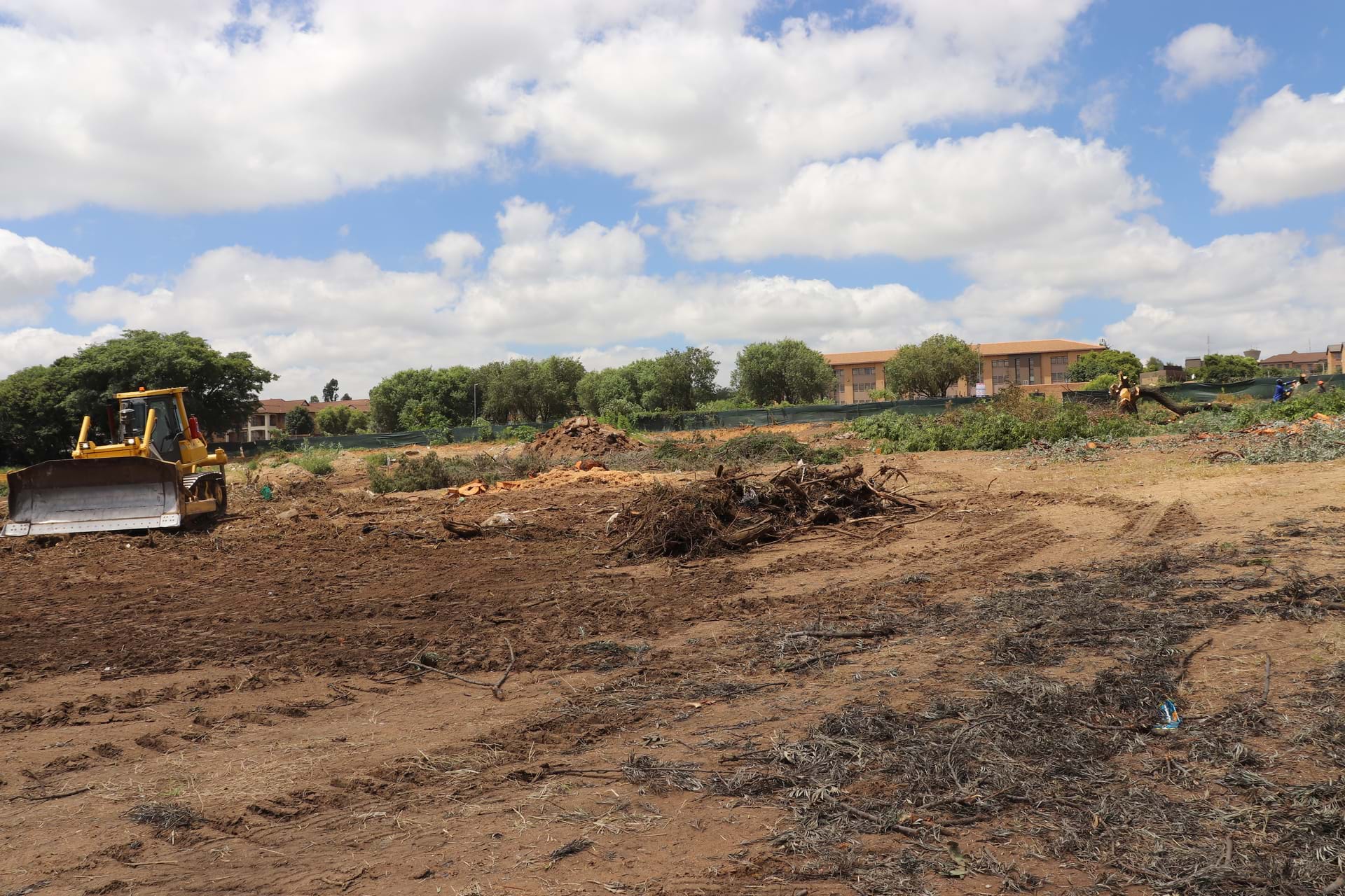 Progress on site 01/02/2022